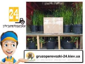 ��������� �������� ���� - ����������� 1