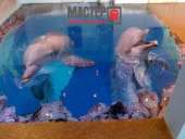 ��������� �������� ���� �� �������� ���������. - ����������� 2