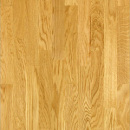 ������� � ����������: ��������� ��������: ������, ��������� �����, �������, ����, ���, ������� �������