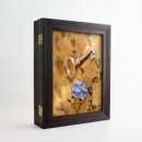 ��������� ��������, ������� ������� - ����������� 2