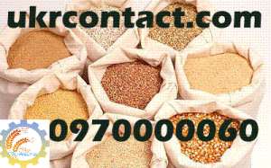 ��������� �������� ��������, �������, ������, ������, ������, ����, ����������� � �.�. - ����������� 1