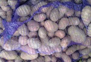 ��������� �������� ��������� �����. - ����������� 1