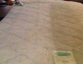 ������� � ����������: ��������� ��������. ���������� �����. �����������