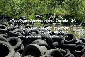 ���������, �������� ������������� ����, �������� �� �����������, ���������� - ����������� 1