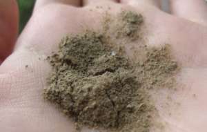 ��������� ��������� - ����������� 1