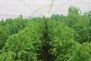 ��������� ��������� - ����������� 1