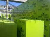 ��������� ��������� (Stonelight) - ����������� 3