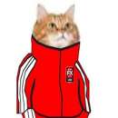 ��������� ��������� � ����. ��������� - ������