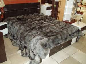 ��������� ��������� �� ���� �������� - ����������� 1