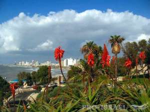 ��������� ��������� ��� ������ ����� � ������� - ����������� 1