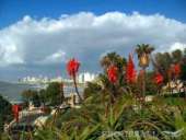 ������� � ����������: ��������� ��������� ��� ������ ����� � �������