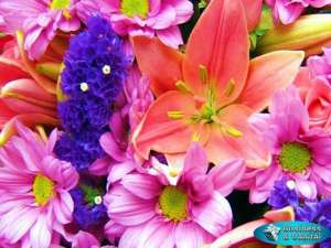 ��������� ��������� ����� - ����������� 1