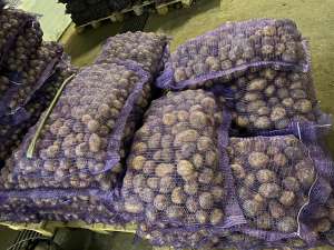 ��������� ��������� ����� - ����������� 1