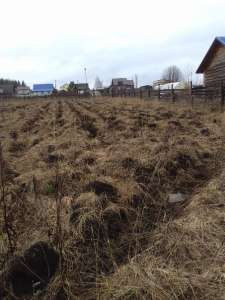 ��������� ��������� ������� ��� - ����������� 1