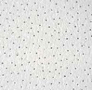 ������� � ����������: ��������� ��������� ������� ������ ���� � �����