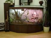 ������� � ����������: ���������, ����������