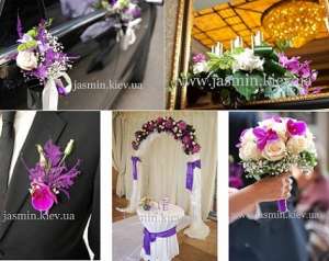 ��������� ����������. - ����������� 1