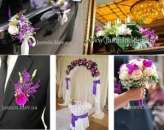 ������� � ����������: ��������� ����������.