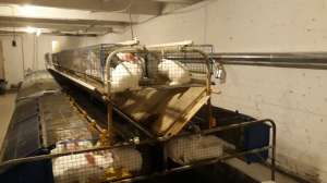 ��������� ���������� - ����������� 1