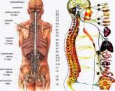 ��������� ���������� - ����������� 3