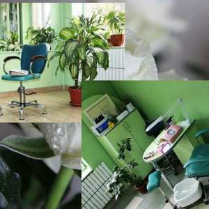 ��������� ���������� � ������ ��������.. - ����������� 1