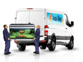 ��������� ���������� � ����������� � ����� � ������� - ����������� 2