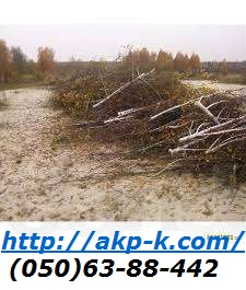 ��������� ����������, �������. (��������, ����������) - ����������� 1