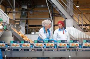 ��������� ���������� ���������. - ����������� 1