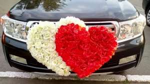 ��������� ���������� ���������� - ����������� 1