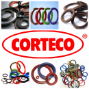 ��������� ����������� Kawasaki ����������. - ����������� 3