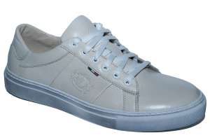 ��������� ����������� ���� LN 241 ������� - ����������� 1