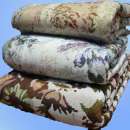 ������� � ����������: ��������� ����������� �����