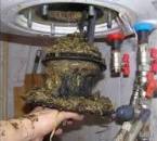 ������� � ����������: ���������, �����������, ������ �������� (����������������) �����