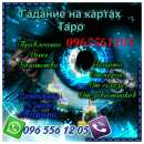 ������� � ����������: ��������� ����������� ������� ������ �������, �������, ���������