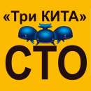 ��������� �����������, �����������