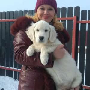 ��������� ������������ ����� - ����������� 1