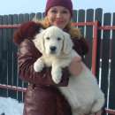 ������� � ����������: ��������� ������������ �����