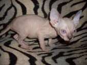 ��������� ������������ ��������� ������� - ����������� 2