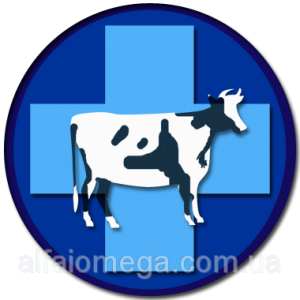 ��������� ������������ ������������ - ����������� 1