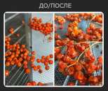 ������� � ����������: ��������� ������������ ������������ � ���������������