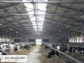 ������� � ����������: ��������� ������������� �� ���� �������