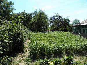 ��������� ������������� ��������� ������� 16 ����� ���. - ����������� 1