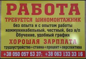 ��������� �������������. ���������� - ����������� 1