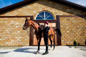 ��������� ������-�������� - ����������� 1