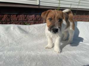 ��������� �������������� ����� ���� ������ ������� �� �������� ������ - ����������� 1