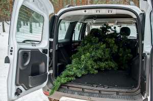 ��������� �������������� ������ - ����������� 1