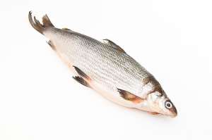 ��������� ��������������� ���� "���" - ����������� 1