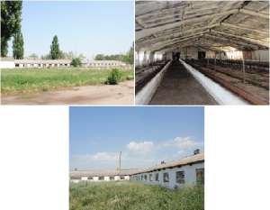 ��������� ���������������� �������� - ����������� 1