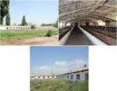 ������� � ����������: ��������� ���������������� ��������