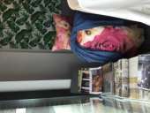 ��������� ��������-����������� - ����������� 3